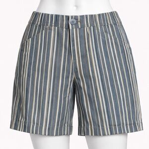 Lee Regular Fit Striped Mid Rise Shorts Blue Gray Striped 8.5 Inseam 12 Medium